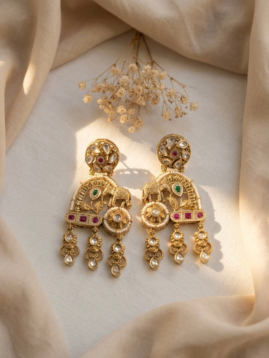 Earrings